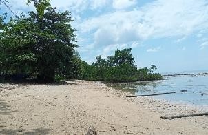 Pantai Pasir Putih Tanjung Mariri Baru